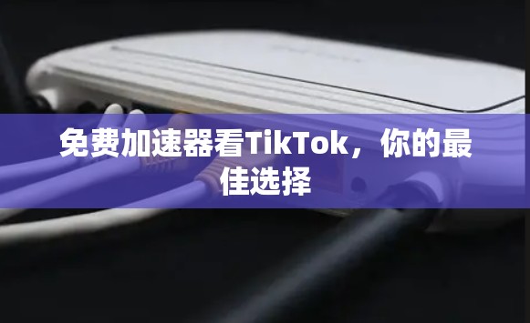 免费加速器看TikTok，你的最佳选择