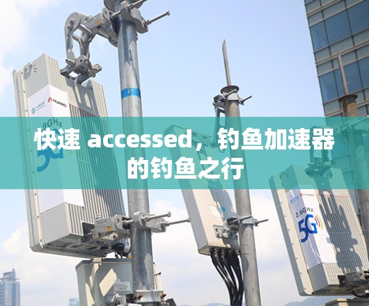 快速 accessed，钓鱼加速器的钓鱼之行