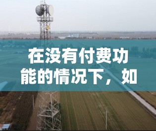 在没有付费功能的情况下，如果你需要快速加载资源或加速游戏，以下是一些推荐的免费工具，这些工具通常提供部分功能，如缓存缓存和搜索功能