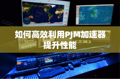 如何高效利用PJM加速器提升性能