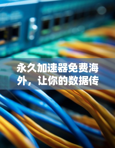 永久加速器免费海外，让你的数据传输更轻松