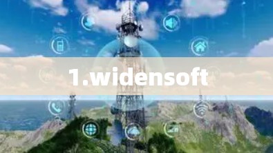 1.widensoft 1.widensoft