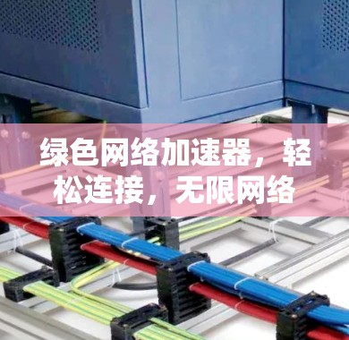 绿色网络加速器，轻松连接，无限网络，随时在线