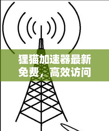 狸猫加速器最新免费，高效访问网络，避免恶意软件攻击