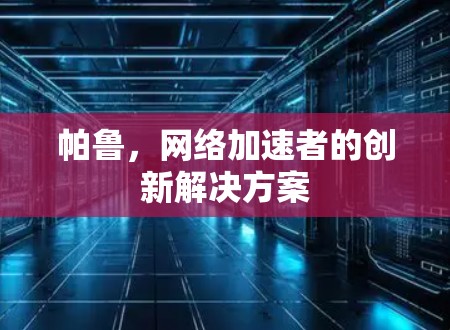 帕鲁，网络加速者的创新解决方案