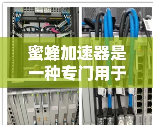 蜜蜂加速器是一种专门用于加速蜜蜂飞行的装置或服务，通常用于增加蜜蜂的飞行距离或速度，以提高蜜蜂的生存效率或增强视觉效果。以下是关于蜜蜂加速器的一些信息和建议