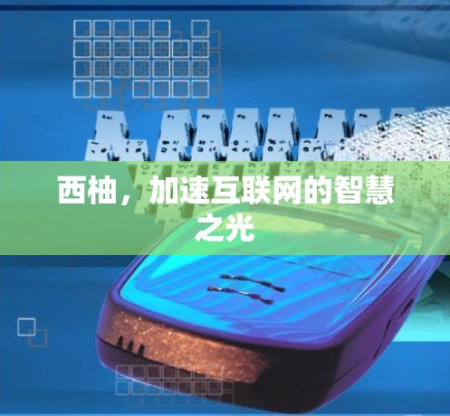 西柚，加速互联网的智慧之光
