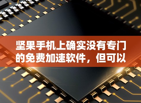 坚果手机上确实没有专门的免费加速软件，但可以通过以下步骤来实现加速功能