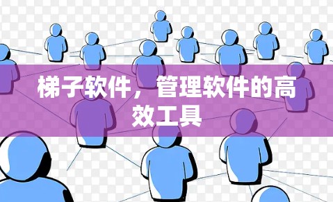 梯子软件，管理软件的高效工具