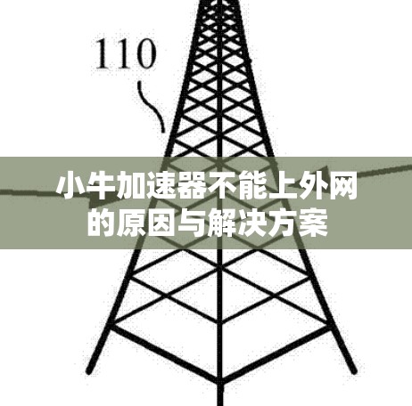 小牛加速器不能上外网的原因与解决方案