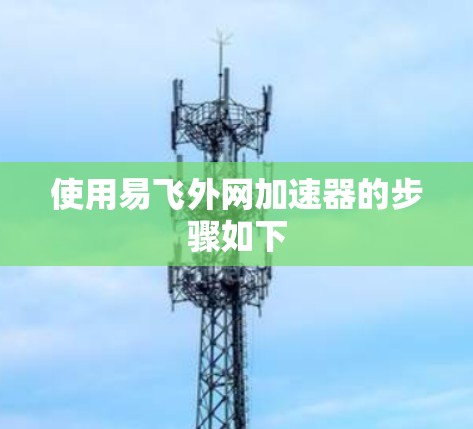 使用易飞外网加速器的步骤如下