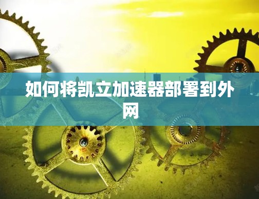 如何将凯立加速器部署到外网