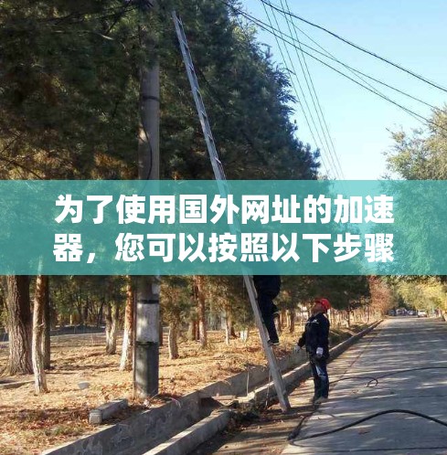 为了使用国外网址的加速器，您可以按照以下步骤进行