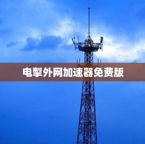 电掣外网加速器免费版