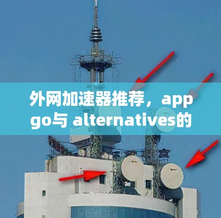 外网加速器推荐，appgo与 alternatives的比较