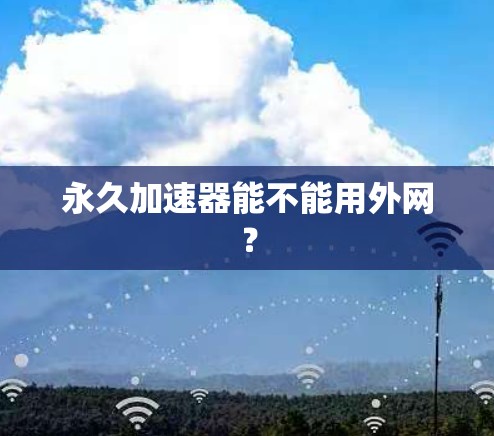 永久加速器能不能用外网？