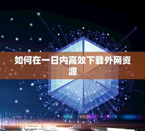 如何在一日内高效下载外网资源