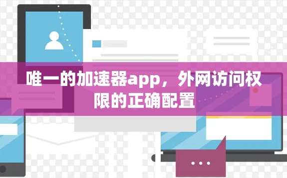 唯一的加速器app，外网访问权限的正确配置
