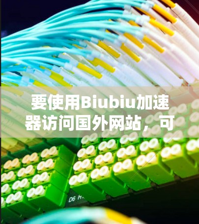 要使用Biubiu加速器访问国外网站，可以按照以下步骤操作