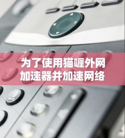 为了使用猫喱外网加速器并加速网络数据，您可以按照以下步骤操作