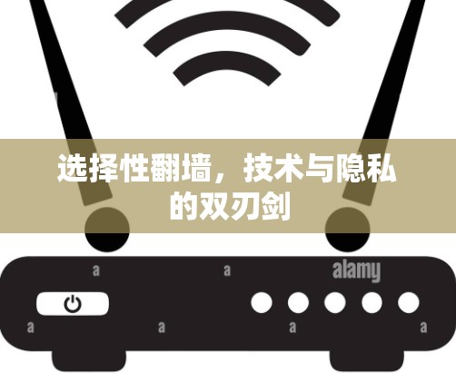 选择性翻墙，技术与隐私的双刃剑