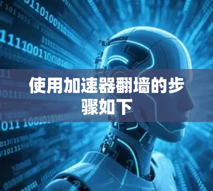 使用加速器翻墙的步骤如下