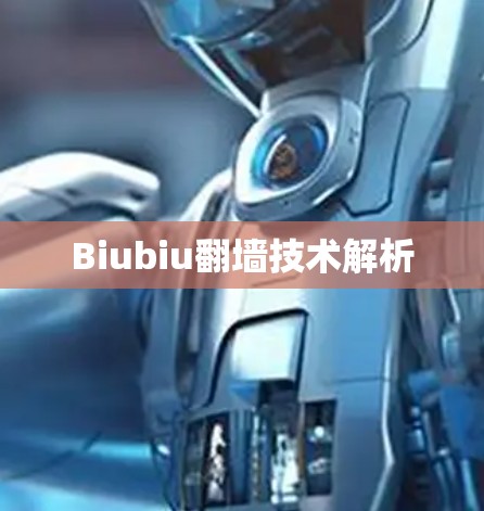 Biubiu翻墙技术解析