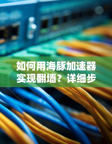 如何用海豚加速器实现翻墙？详细步骤解析