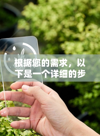 根据您的需求，以下是一个详细的步骤指南，帮助您将国外的加速器搬到国内