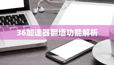 36加速器翻墙功能解析
