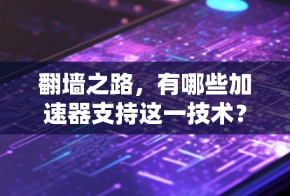翻墙之路，有哪些加速器支持这一技术？
