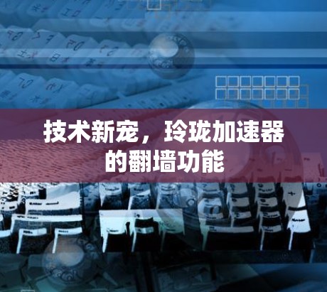 技术新宠，玲珑加速器的翻墙功能