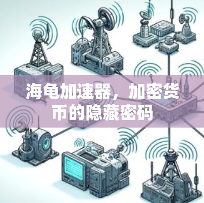 海龟加速器，加密货币的隐藏密码