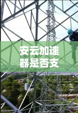 安云加速器是否支持翻墙，取决于具体的安云加速器的功能和设计。以下是对这一问题的逐步分析和总结