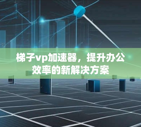 梯子vp加速器，提升办公效率的新解决方案