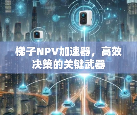 梯子NPV加速器，高效决策的关键武器