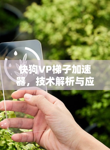 快狗VP梯子加速器，技术解析与应用