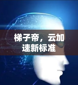 梯子帝，云加速新标准