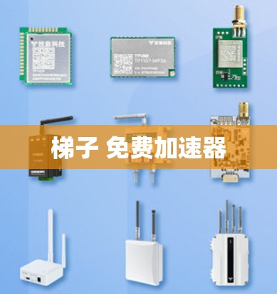 梯子 免费加速器