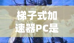 梯子式加速器PC是一种结合梯子式的装置和加速器技术的个人电脑加速器，主要用于提升个人电脑的性能和响应速度。以下是对该术语的系统总结和扩展