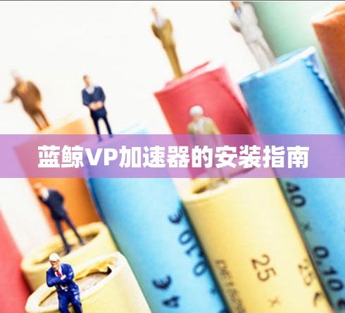 蓝鲸VP加速器的安装指南
