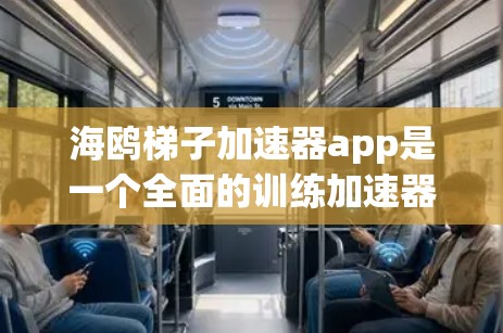 海鸥梯子加速器app是一个全面的训练加速器，涵盖了训练、计时和进度报告等多个方面。以下是详细的使用指南