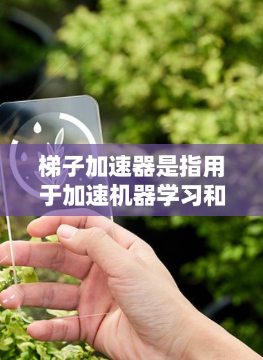 梯子加速器是指用于加速机器学习和深度学习训练的加速器，它们通过提升计算能力和硬件性能，显著提升训练速度。以下是关于最新的梯子加速器的详细介绍