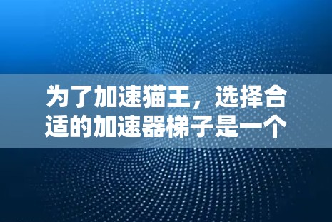 为了加速猫王，选择合适的加速器梯子是一个好主意。以下是详细的步骤指南