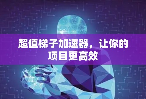 超值梯子加速器，让你的项目更高效