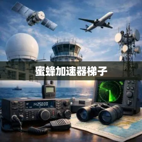 蜜蜂加速器梯子