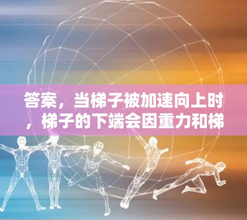 答案，当梯子被加速向上时，梯子的下端会因重力和梯子对地面的反作用力而向下运动，导致梯子的下端下落，可能滑落，从而引发梯子的断裂或滑落。梯子的上端则保持不动或随梯子一起向上加速