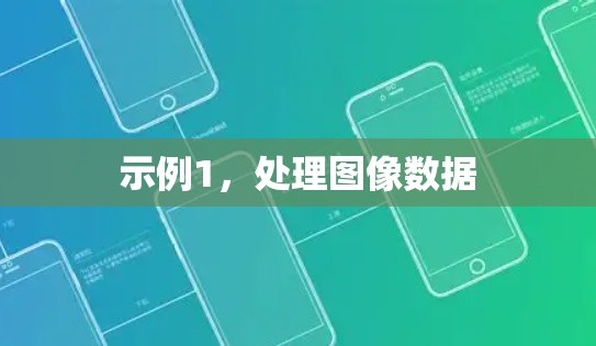 示例1，处理图像数据