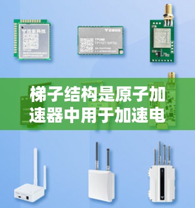 梯子结构是原子加速器中用于加速电子的结构，其原理基于半整数角动量和激发子的跃迁。以下是梯子结构的详细解释