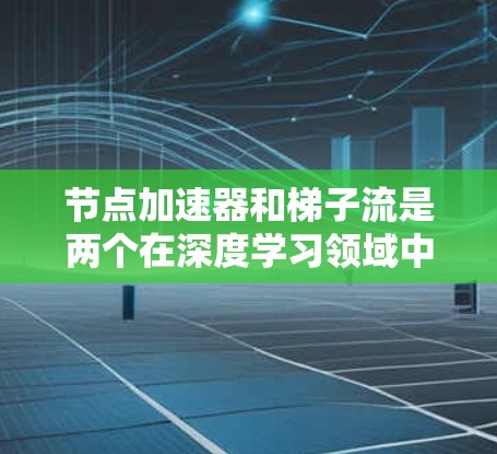 节点加速器和梯子流是两个在深度学习领域中各自发挥作用的技术，它们各有其独特的应用场景和工作原理。以下是对它们的详细分析